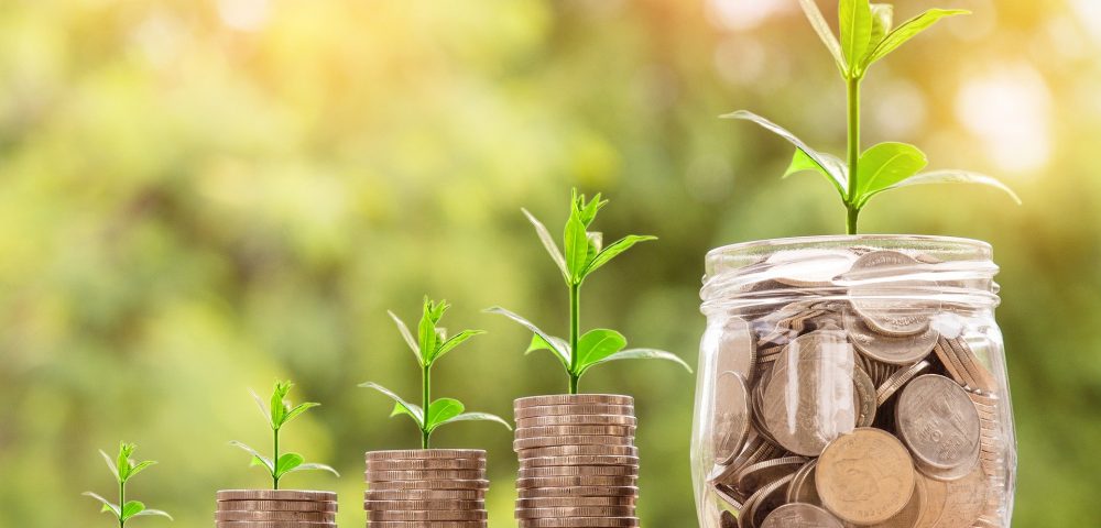 Fotografía que representa la inversión en el medio ambiente, con plantas creciendo del dinero